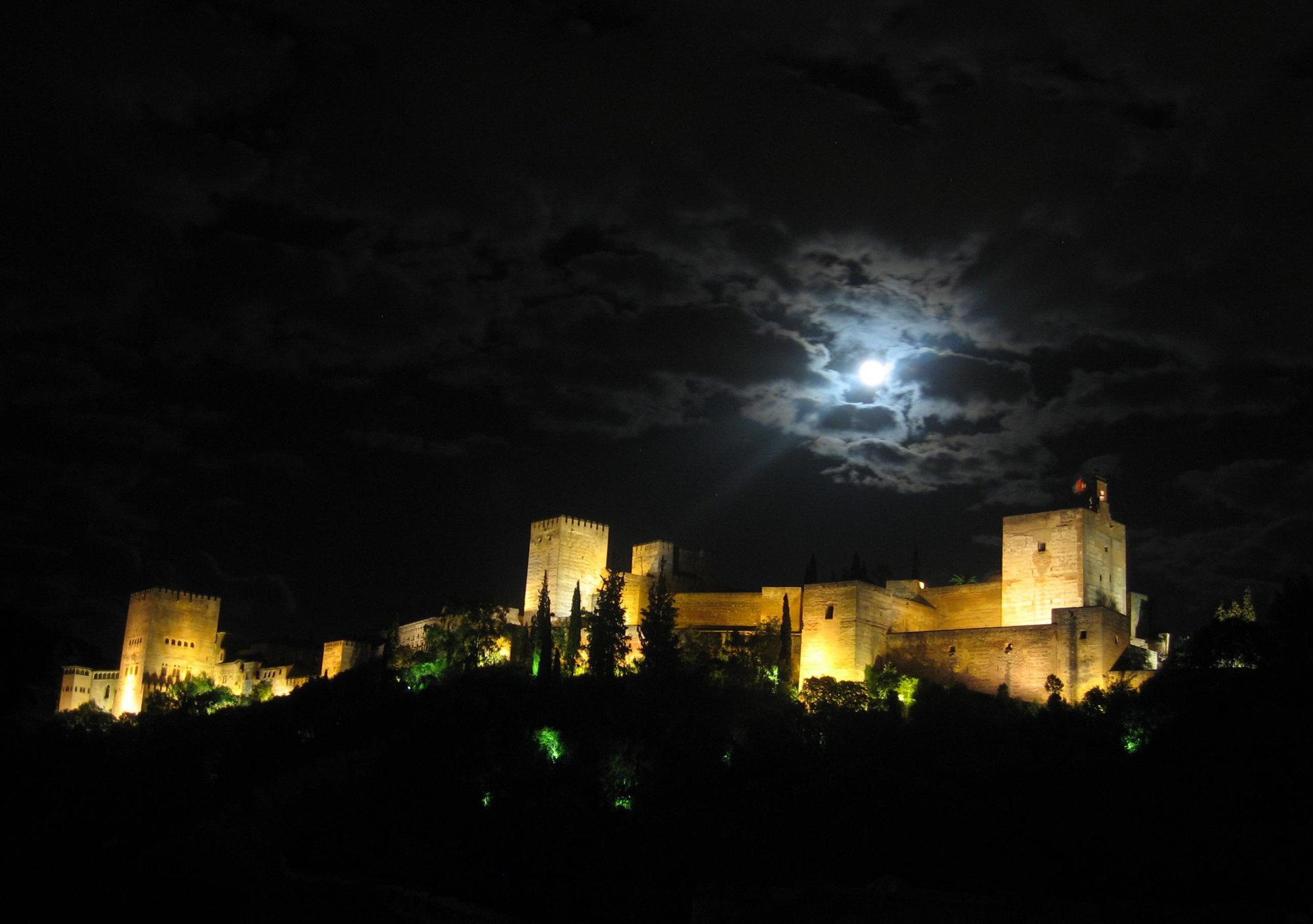 Night guided tour Visit to the Alhambra Nasrid Palaces lions court